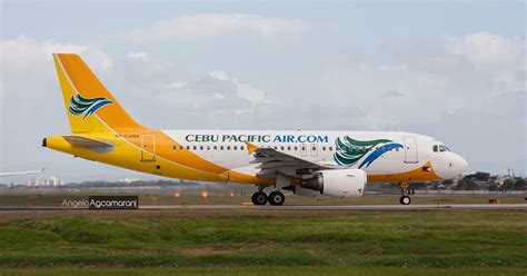 bacolod to cebu flights|Cheap Promo Flights from Bacolod to Cebu .
